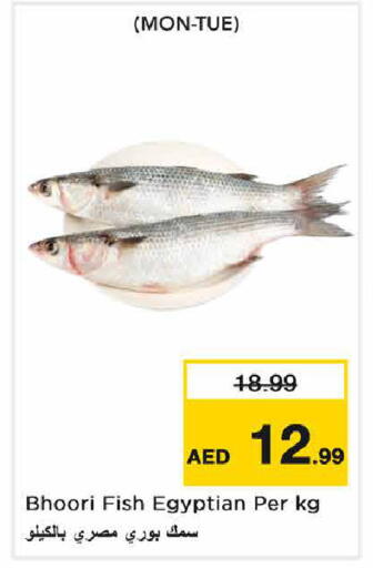 available at Nesto Hypermarket in UAE - Sharjah / Ajman