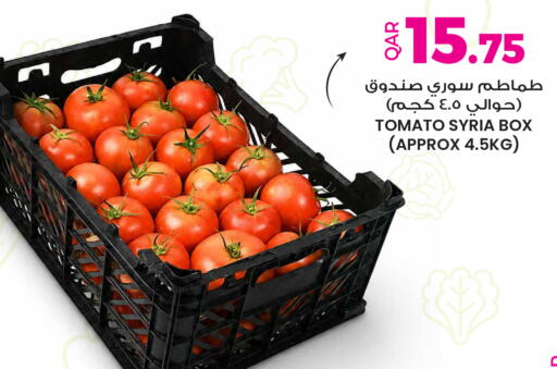 Tomato from Syria available at Ansar Gallery in Qatar - Al-Shahaniya
