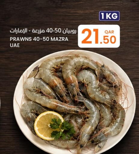 available at البلدي اليوم in قطر - الريان