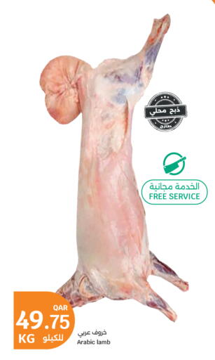 available at City Hypermarket in Qatar - Al Shamal