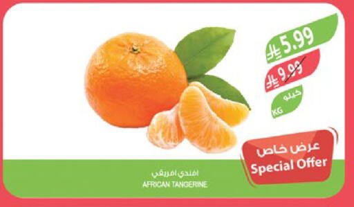 available at المزرعة in مملكة العربية السعودية, السعودية, سعودية - جدة