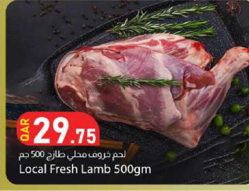 available at دانا ماركت in قطر - الريان