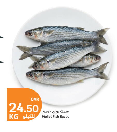 available at سيتي هايبرماركت in قطر - الريان