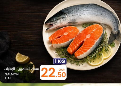 available at البلدي اليوم in قطر - الريان