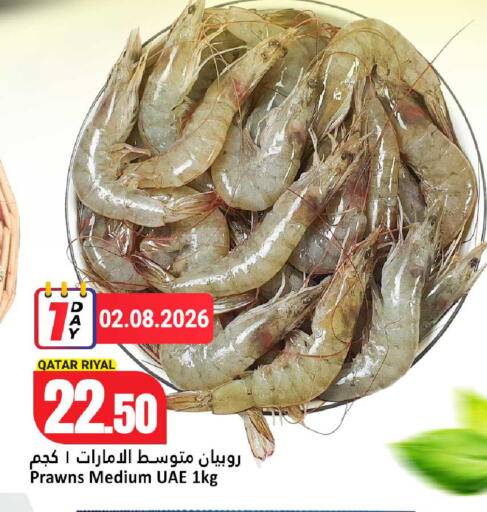 available at دانة هايبرماركت in قطر - الريان