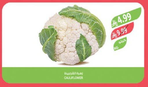 Cauliflower available at المزرعة in مملكة العربية السعودية, السعودية, سعودية - جدة