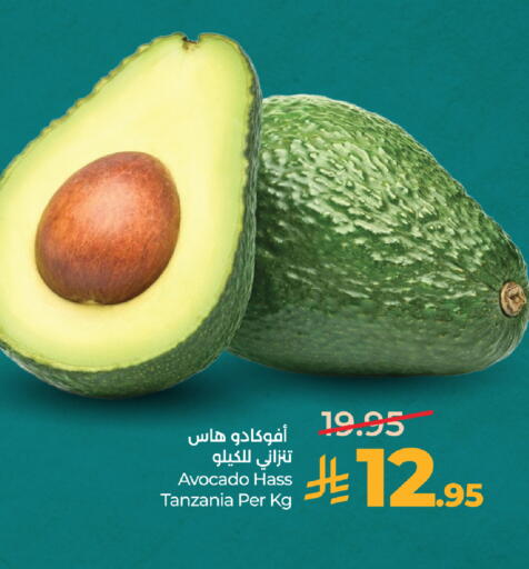 Avocado from Tanzania available at لولو هايبرماركت in مملكة العربية السعودية, السعودية, سعودية - جدة