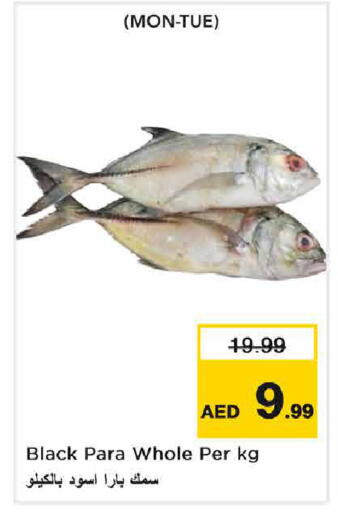 available at Nesto Hypermarket in UAE - Sharjah / Ajman