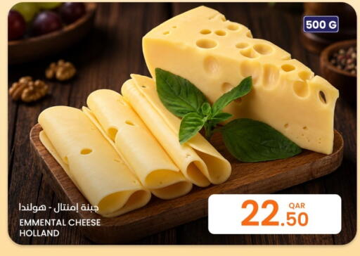 available at البلدي اليوم in قطر - الريان