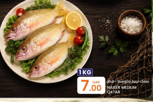available at البلدي اليوم in قطر - الريان