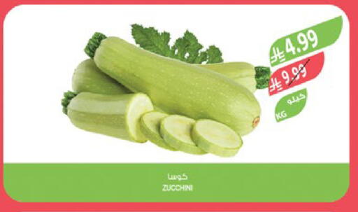 Zucchini available at المزرعة in مملكة العربية السعودية, السعودية, سعودية - جدة