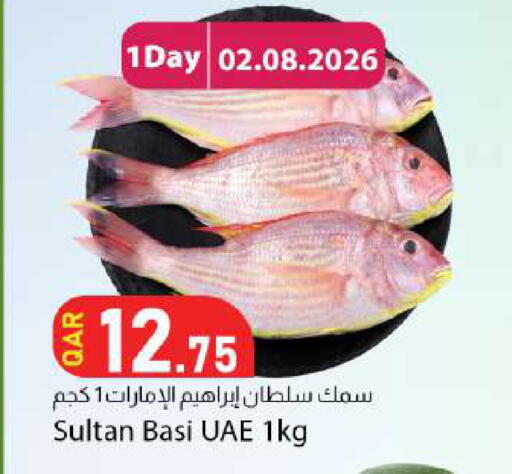 available at دانا ماركت in قطر - الريان