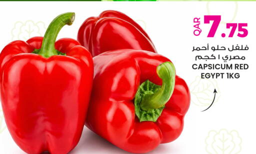 Capsicum from Egypt available at Ansar Gallery in Qatar - Al-Shahaniya
