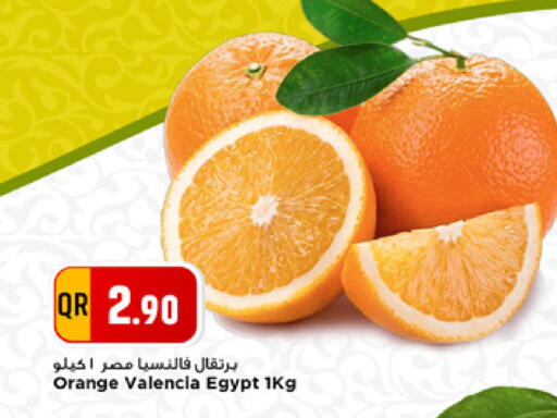Orange from Egypt available at مرزا هايبرماركت in قطر - الشمال