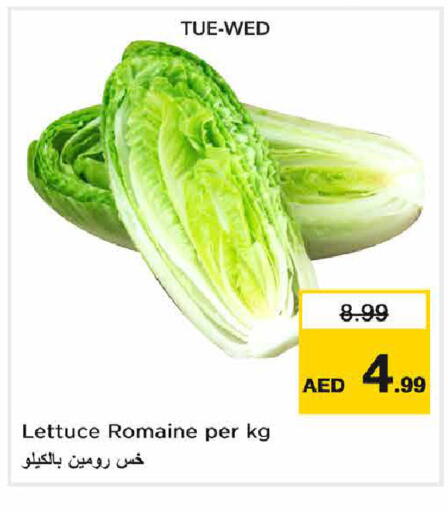 Lettuce available at Nesto Hypermarket in UAE - Sharjah / Ajman