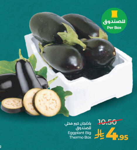 Eggplant available at لولو هايبرماركت in مملكة العربية السعودية, السعودية, سعودية - جدة