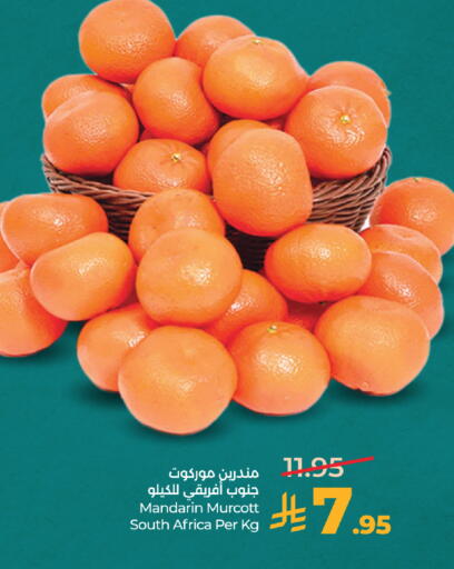 Mandarin from South Africa available at لولو هايبرماركت in مملكة العربية السعودية, السعودية, سعودية - جدة