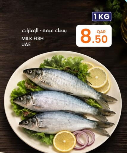 available at Al Baladi Al Yawm in Qatar - Doha