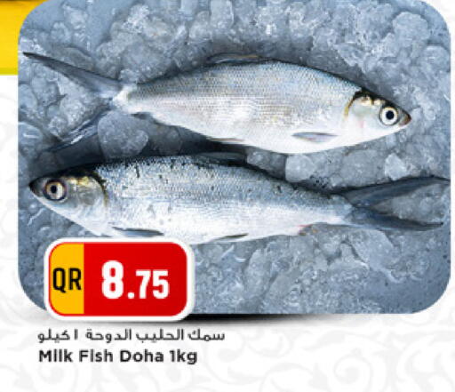 available at Marza Hypermarket in Qatar - Doha
