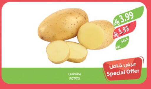 Potato available at المزرعة in مملكة العربية السعودية, السعودية, سعودية - جدة