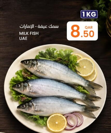 available at البلدي اليوم in قطر - الريان