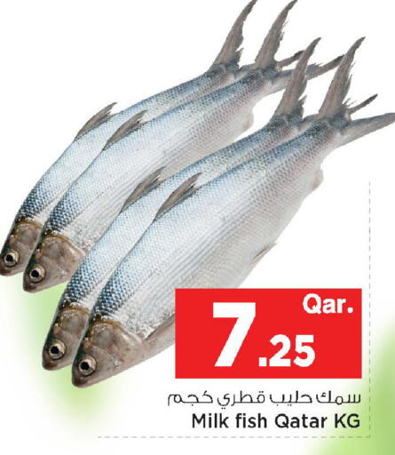 available at مارك & سيف in قطر - الخور