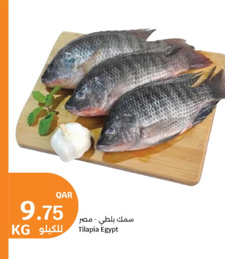 available at سيتي هايبرماركت in قطر - الريان