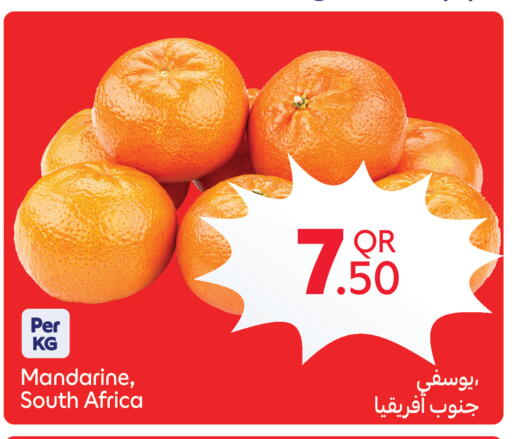 from South Africa available at كارفور in قطر - الريان