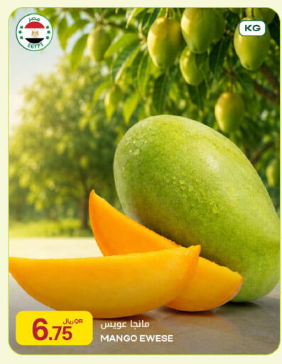 Mango from Egypt available at شركة الميرة للمواد الاستهلاكية in قطر - الدوحة