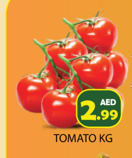 Tomato available at Baniyas Spike  in UAE - Ras al Khaimah
