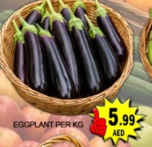 Eggplant available at جرين جيفت متجر أقسام in الإمارات العربية المتحدة , الامارات - دبي