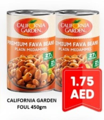 available at متجر الهدايا الخضراء in الإمارات العربية المتحدة