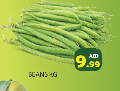 available at Baniyas Spike  in UAE - Ras al Khaimah