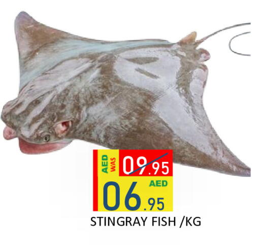 available at ROYAL GULF HYPERMARKET LLC in UAE - Abu Dhabi