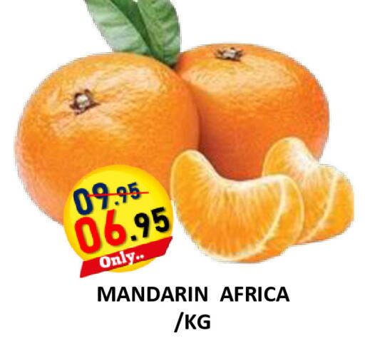 Mandarin available at ROYAL GULF HYPERMARKET LLC in UAE - Abu Dhabi