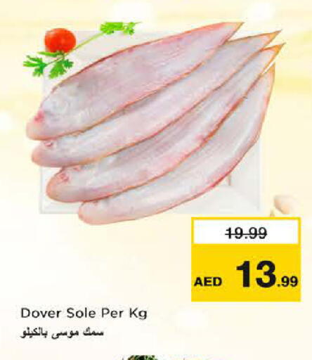 available at نستو هايبرماركت in الإمارات العربية المتحدة , الامارات - الشارقة / عجمان