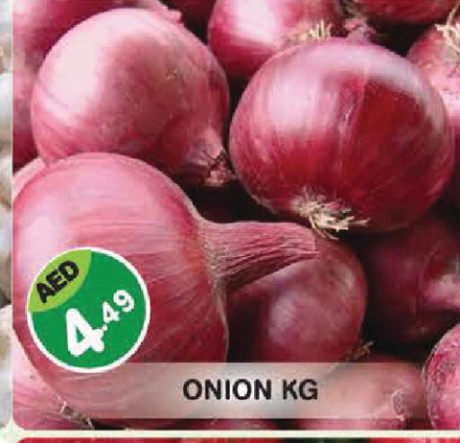 Onion available at سنابل بني ياس in الإمارات العربية المتحدة , الامارات - أبو ظبي