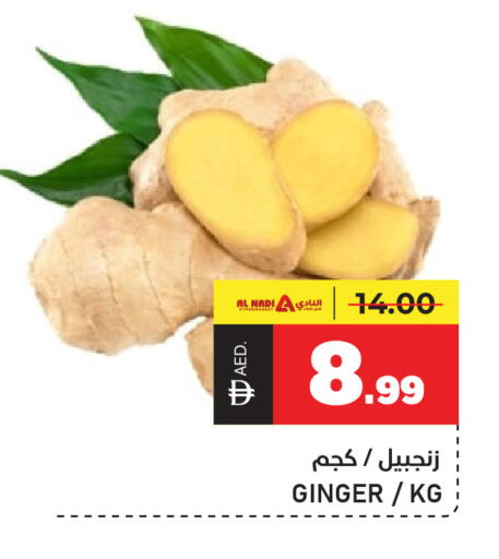 Ginger available at النادي هايبرماركت in الإمارات العربية المتحدة , الامارات - الشارقة / عجمان