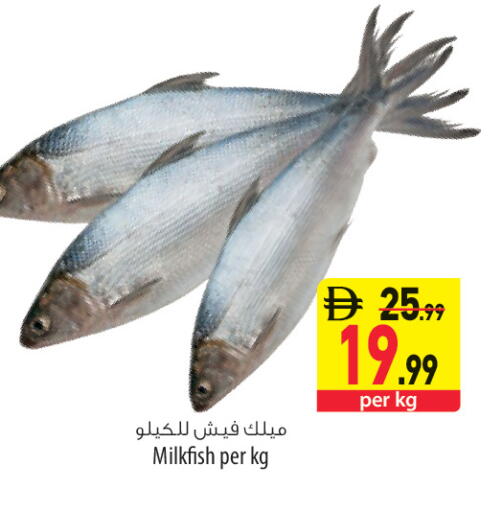 available at السفير ماركت in الإمارات العربية المتحدة , الامارات - رَأْس ٱلْخَيْمَة