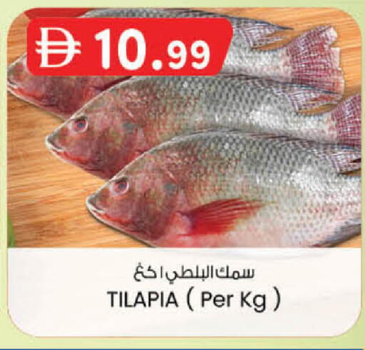 available at K M Trading  in UAE - Sharjah / Ajman