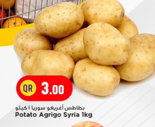 Potato from Syria available at مرزا هايبرماركت in قطر - الشمال