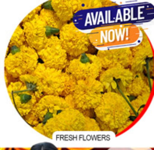 available at لكي سنتر in الإمارات العربية المتحدة , الامارات - الشارقة / عجمان