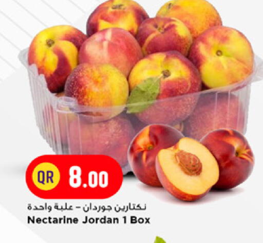 Nectarine from Jordan available at مرزا هايبرماركت in قطر - الشمال