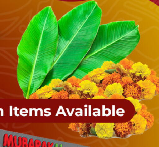 available at Mubarak Hypermarket Sharjah in UAE - Sharjah / Ajman