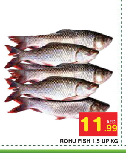 available at سنابل بني ياس in الإمارات العربية المتحدة , الامارات - أبو ظبي