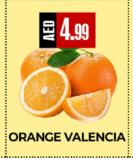 Orange available at  RIVIERA SUPERMARKET L.L.C in UAE - Abu Dhabi