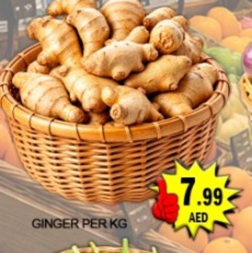 Ginger available at جرين جيفت متجر أقسام in الإمارات العربية المتحدة , الامارات - دبي
