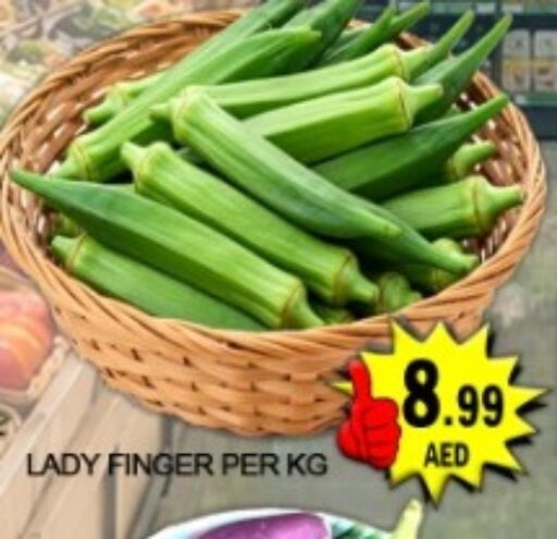 available at جرين جيفت متجر أقسام in الإمارات العربية المتحدة , الامارات - دبي