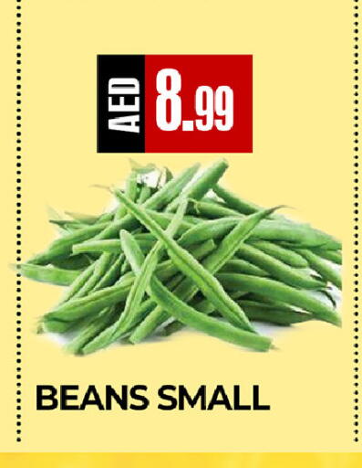 available at ريفييرا سوبرماركت in الإمارات العربية المتحدة , الامارات - أبو ظبي