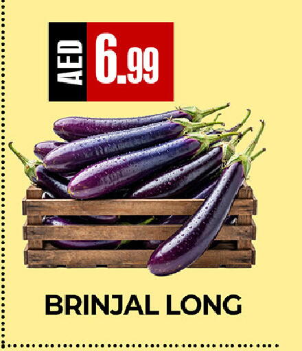 available at  RIVIERA SUPERMARKET L.L.C in UAE - Abu Dhabi